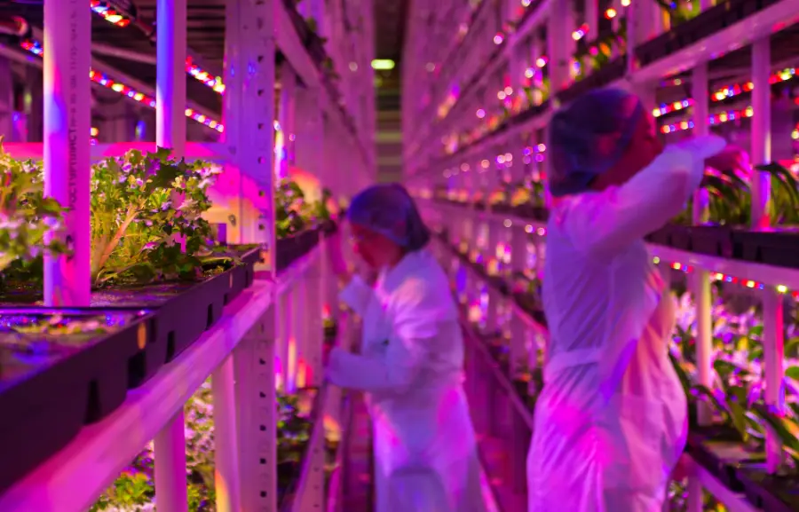 Chi è, cosa fa e quanto guadagna un agronomo